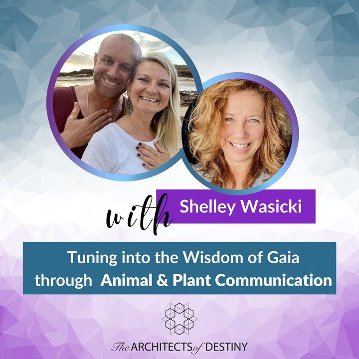AOD Podcast Ep 8 with Shelley